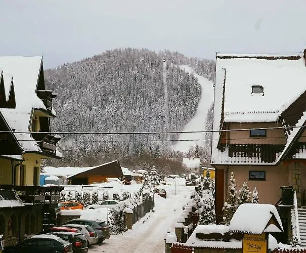 בית אירוח Goscinne Stara Strzecha זקופאנה