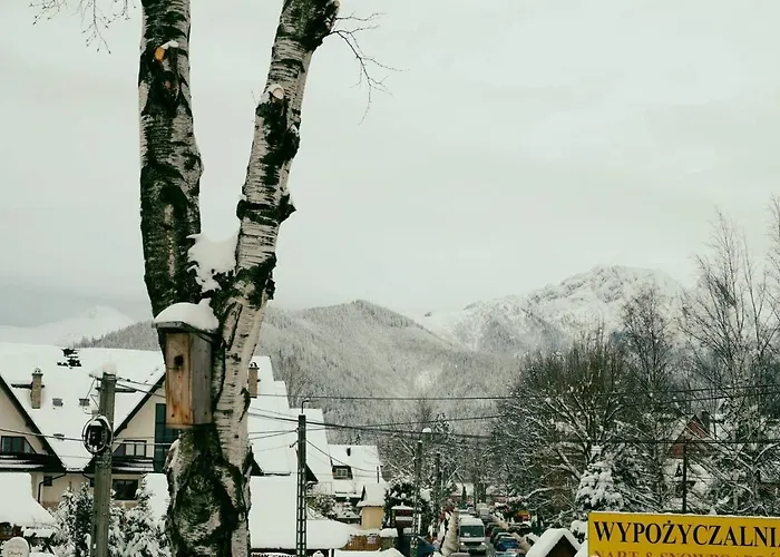 בית אירוח Goscinne Stara Strzecha זקופאנה